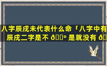 八字辰戌未代表什么命「八字中有辰戌二字是不 🐺 是就没有 🪴 贵人了」